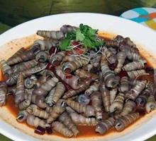 Spicy Snails