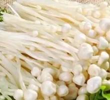 Enoki Mushroom