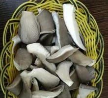 Aluminum Foil Mushroom with Vermicelli