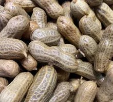 Shelled Peanuts