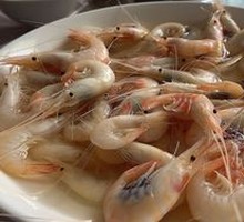 Sea White Shrimp
