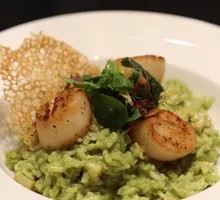 Scallop Risotto