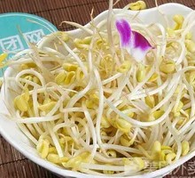 Pot-bottom Bean Sprouts