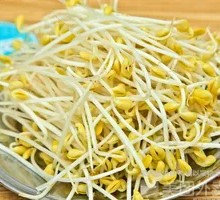 Mung Bean Sprouts