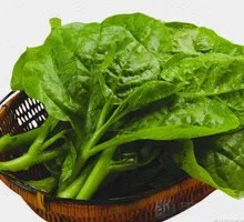 Black fungus vegetable