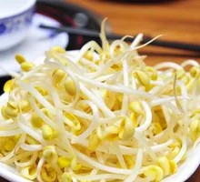 Mung Bean Sprouts
