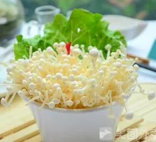 Enoki Mushroom