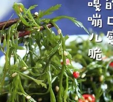 Bamboo Shoot Firecracker