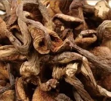 Delicate Mushroom Stir-fry