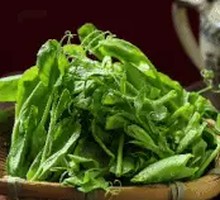 Daliangshan Pea Shoots