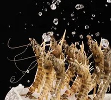 Luo's Prawn Artistry