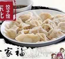Family Feast Dumplings