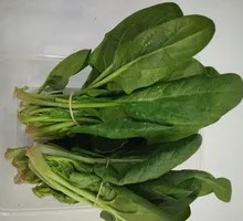 Spinach