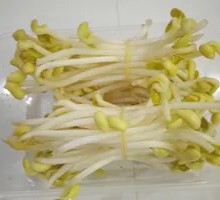 Mung Bean Sprouts