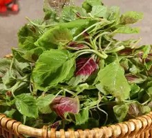 Water Purslane Stir-fry