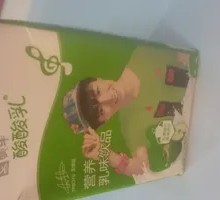 Mengniu Sour Milk Original Flavor