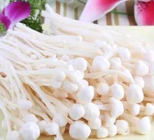 Enoki Mushroom