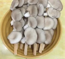 Enoki Mushroom