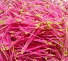 Radish Strips