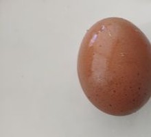 Egg