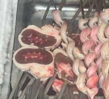 Lamb Kidneys