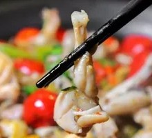 Hanging Pot Bullfrog and Chicken Stew