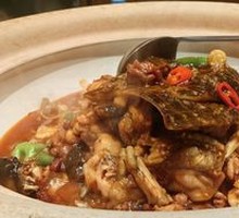 Softshell Turtle and Frog Stew