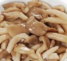 King Oyster Mushroom