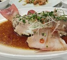 Scallion Oil Steamed Eastern Star Bream