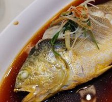 Deep-sea Yellow Croaker