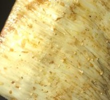 Aluminum-Wrapped Enoki Mushrooms