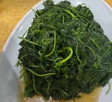Watercress