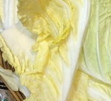 Napa cabbage