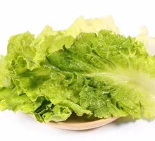 Lettuce