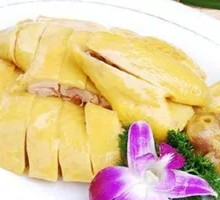 Freshly Killed Chicken