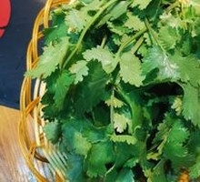 Cilantro