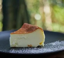 Garden Light Cheesecake
