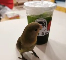 Thai Hand-Beaten Lemon Tea