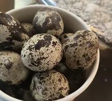 Salt-Baked Quail Eggs