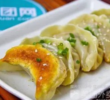 Beef Dumplings