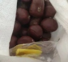 Candied Chestnuts