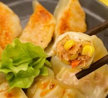 Pan-fried Dumplings