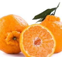 Paba Tangerine