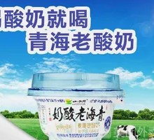 Handmade Qinghai Old Yogurt