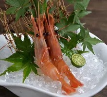 Peony Shrimp Sashimi
