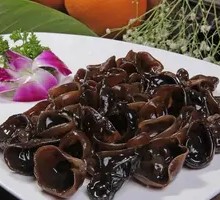 Northeastern Small Wood Ear Mushroom