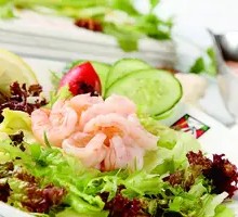 Fresh Shrimp and Grapefruit Salad