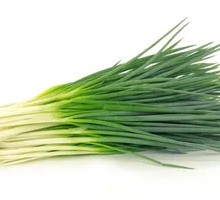 Scallion