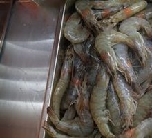 Fresh and Fragrant Shrimp