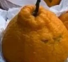 Papaya Tangerine